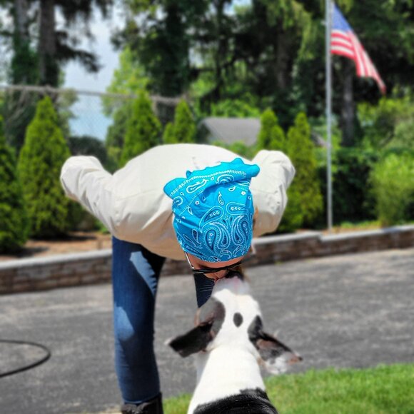 Spidi Tek Net Women's Jacket SIZE: M  COLOR: ICE - Picture 5 of 6